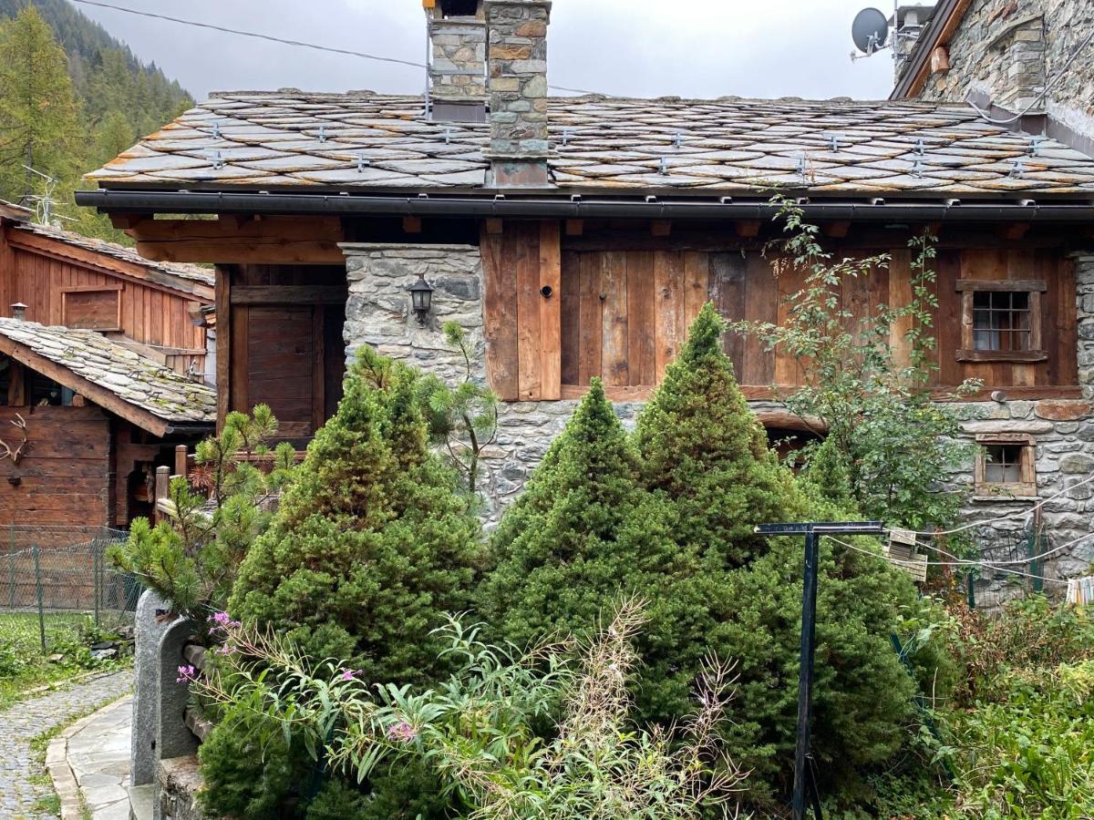 Chalet Cretaz Valtournenche Eksteriør billede